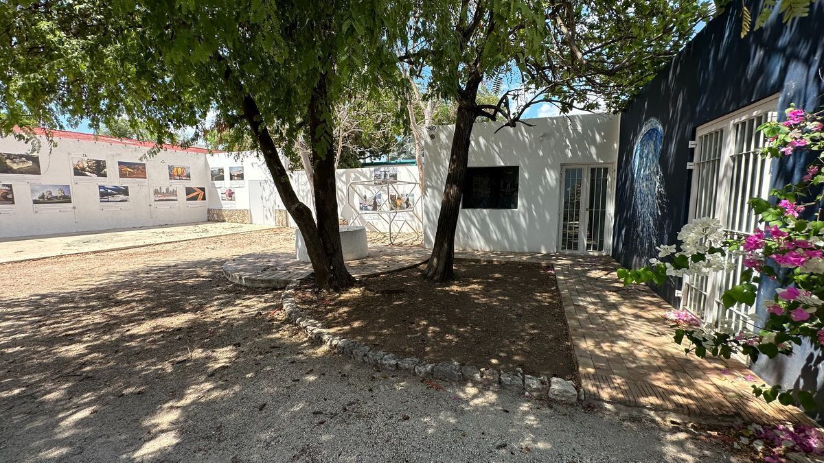 5 de 7