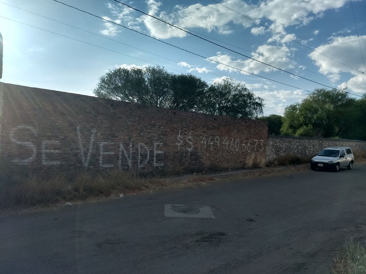 3 de 6