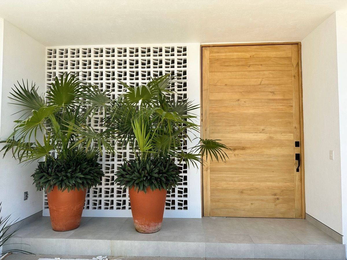 1 de 30: Entrada principal con puerta piso a techo, seguridad