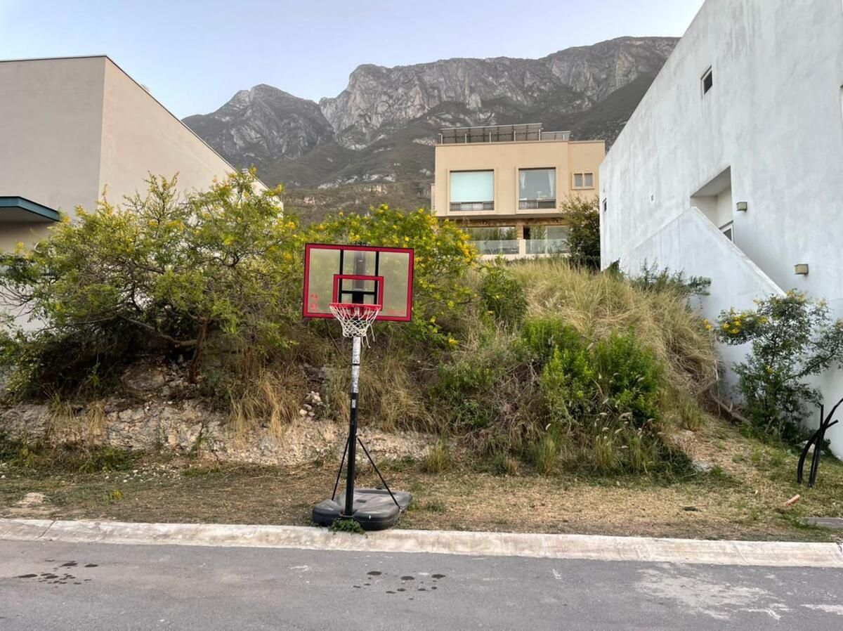 5 de 10