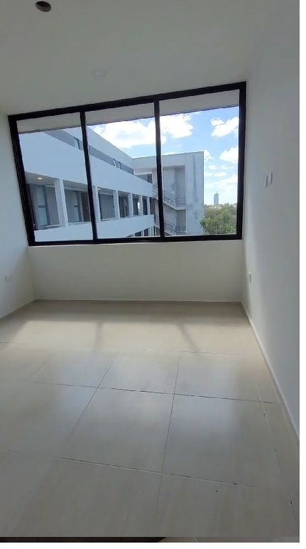 6 de 11