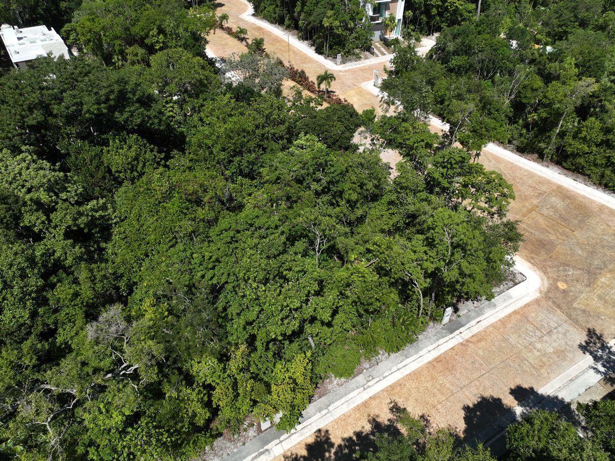 16 de 25: Drone View of the Lot