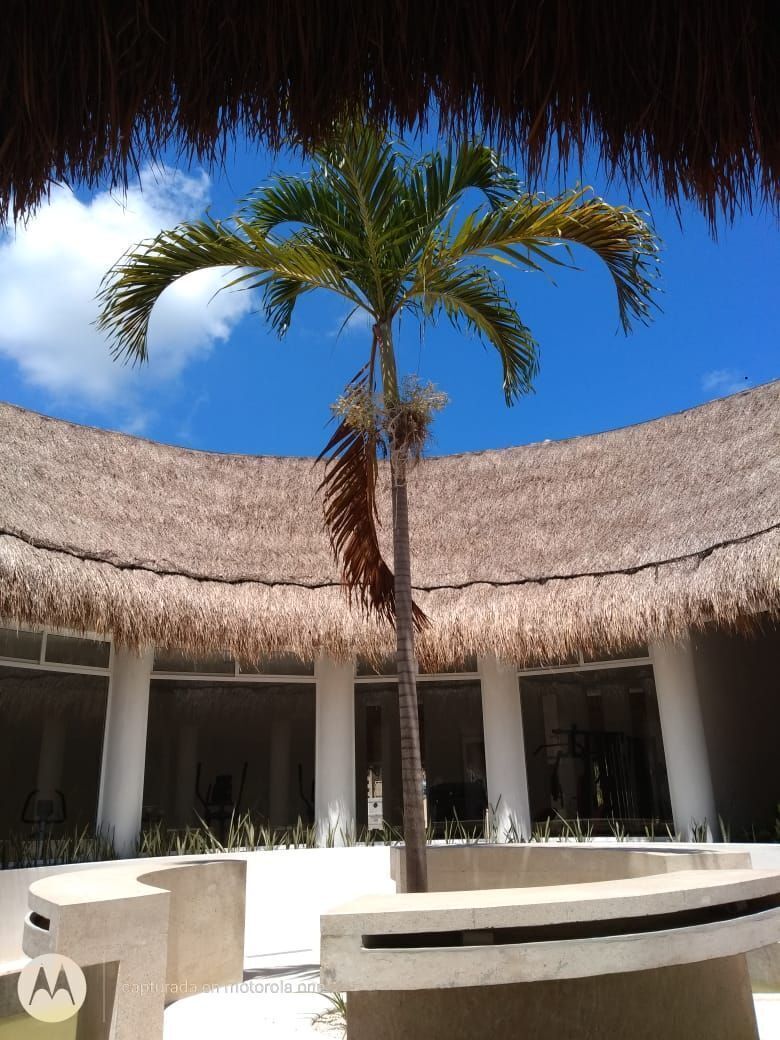 35 de 38: Clubhouse