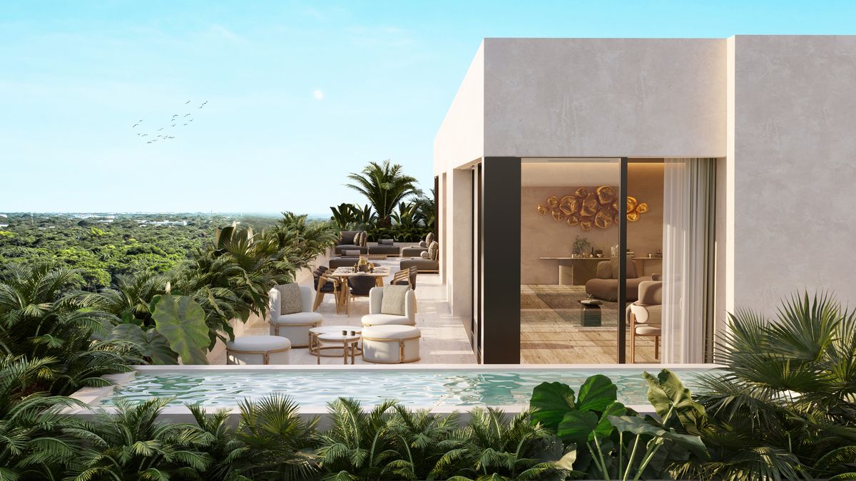Terraza y Plunge pool.