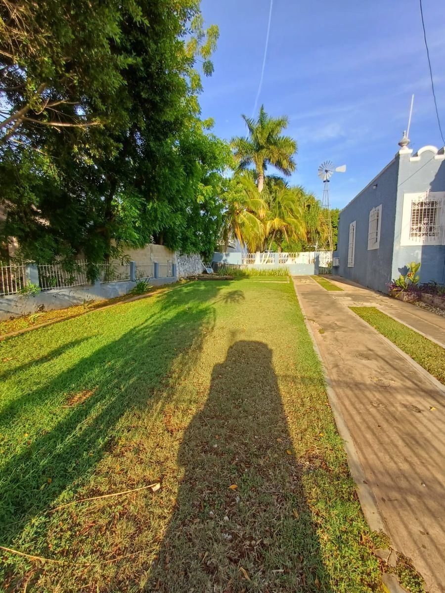 4 de 29: Jardín delantero