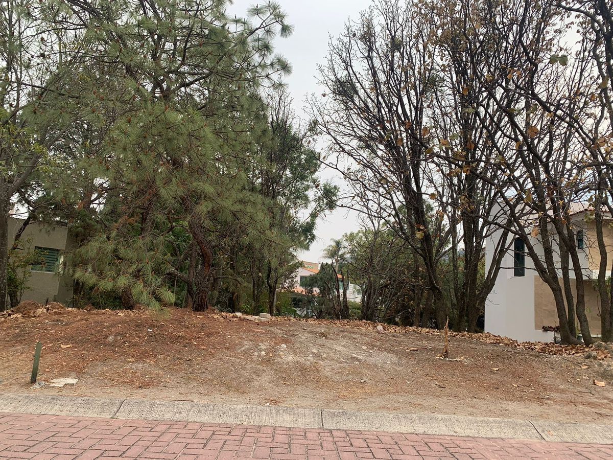 Imagen 6 de 9