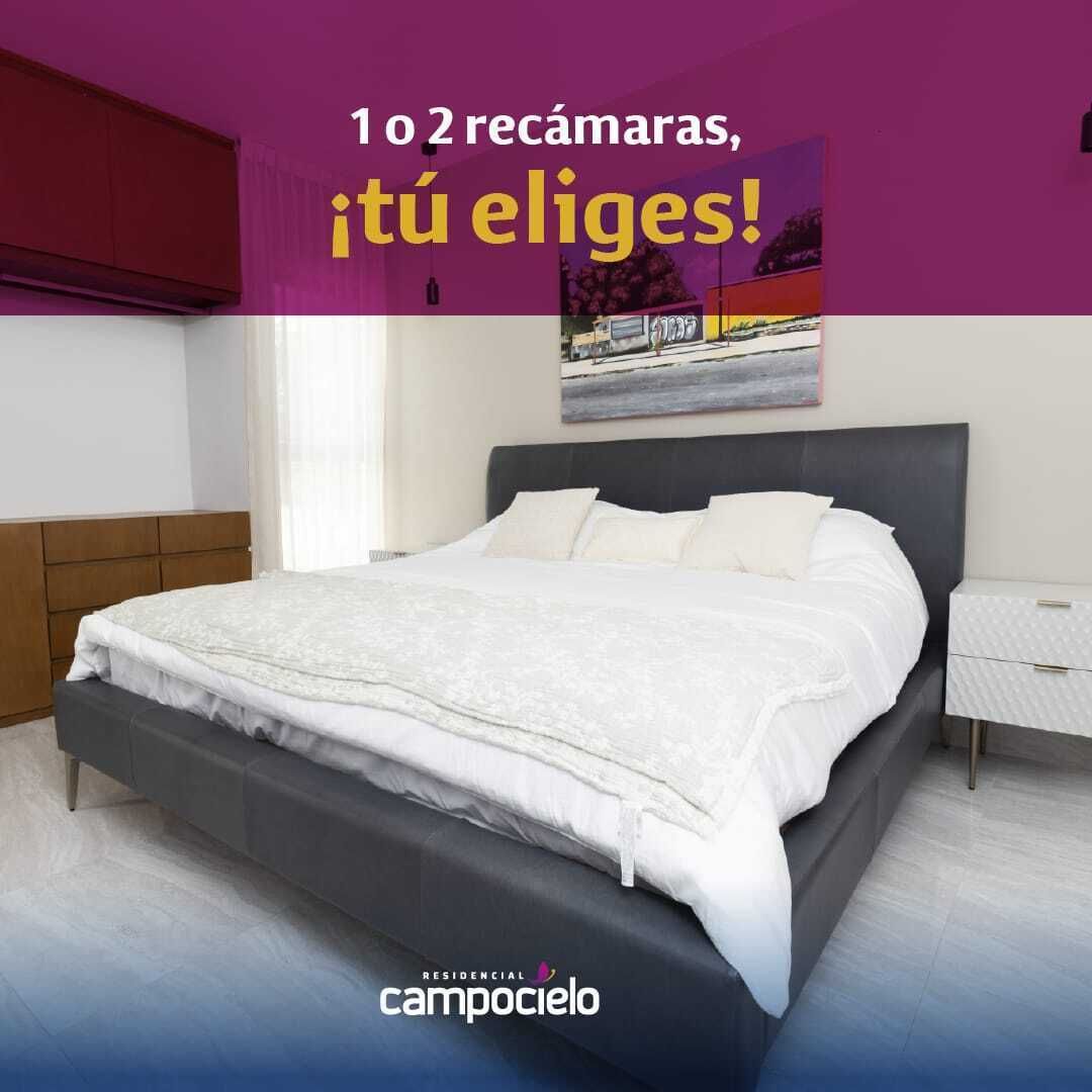 6 de 13