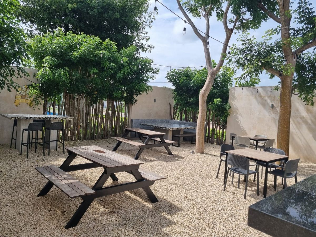 25 de 29: Terraza Social