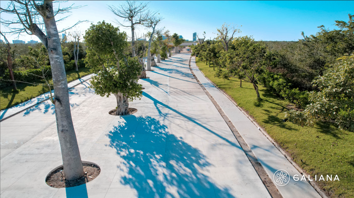 14 of 14: Avance de obra