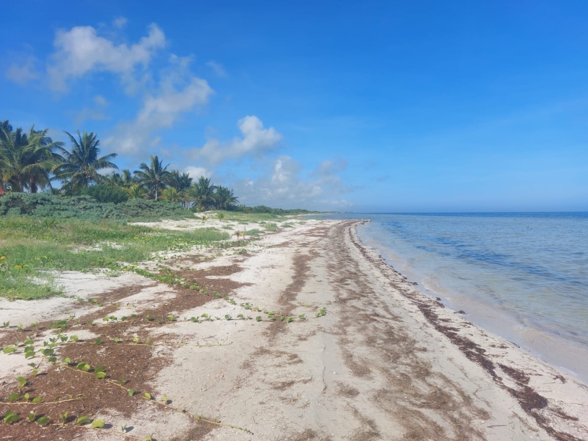 1 de 19: Terreno en venta frente a la playa de Santa Clara, Yucatán