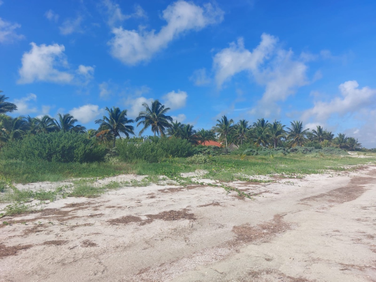 3 de 19: Terreno en venta frente a la playa de Santa Clara, Yucatán