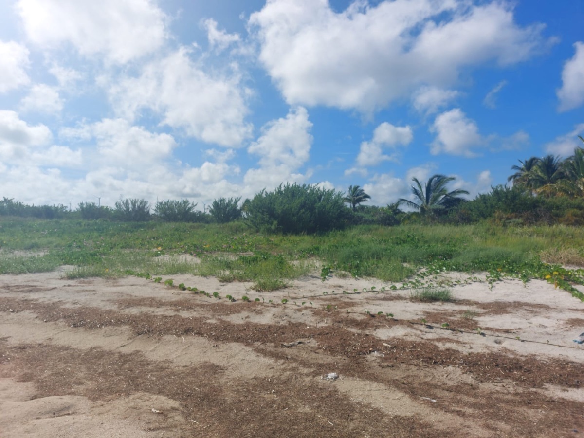 2 de 19: Terreno en venta frente a la playa de Santa Clara, Yucatán