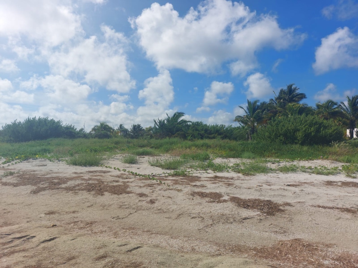 6 de 19: Terreno en venta frente a la playa de Santa Clara, Yucatán