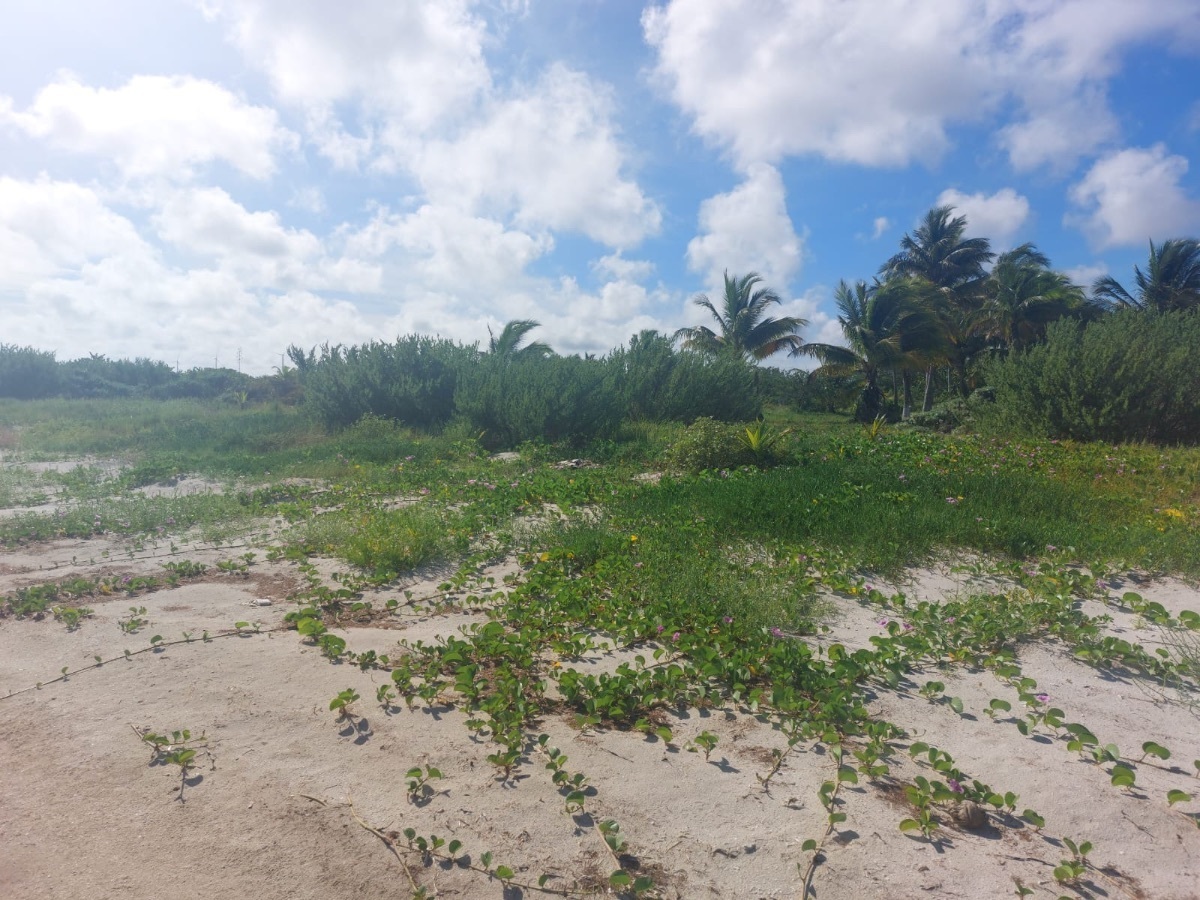 8 de 19: Terreno en venta frente a la playa de Santa Clara, Yucatán