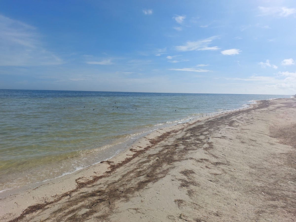 9 de 19: Terreno en venta frente a la playa de Santa Clara, Yucatán