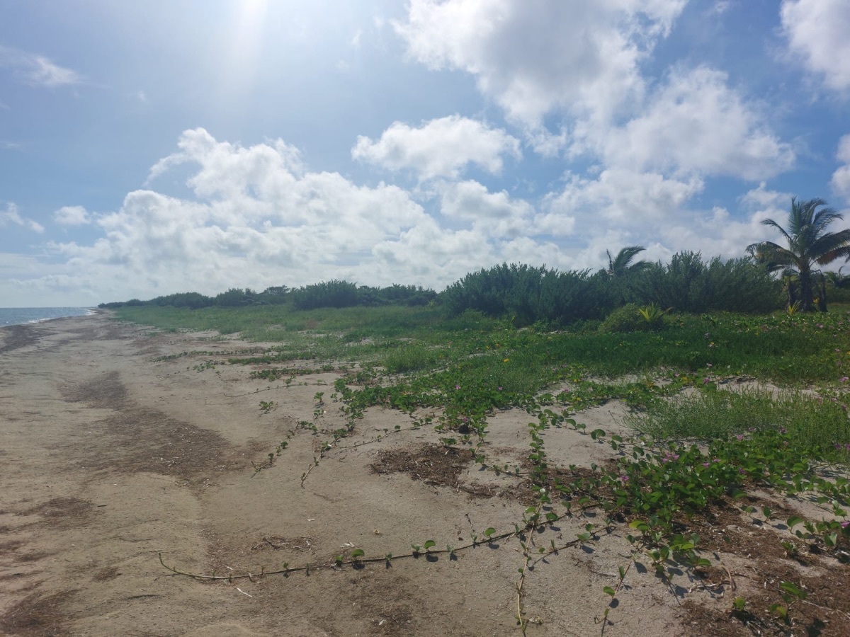 11 de 19: Terreno en venta frente a la playa de Santa Clara, Yucatán