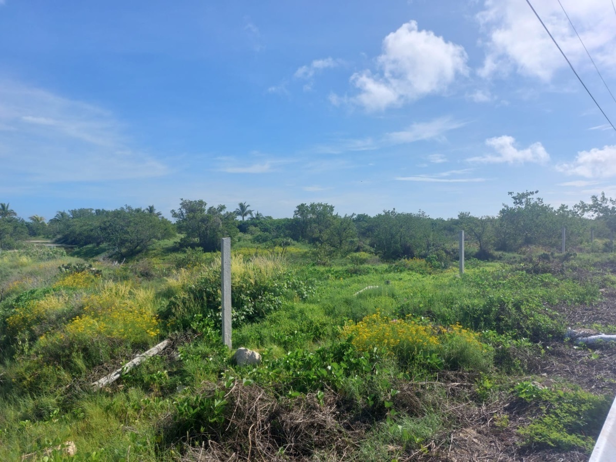 13 de 19: Terreno en venta frente a la playa de Santa Clara, Yucatán