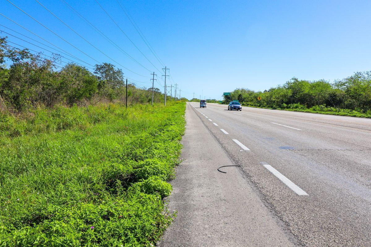 Venta de terreno 10 has sobre carretera Motul-Mérida a 20 min de Periférico Yuc. - foto 3