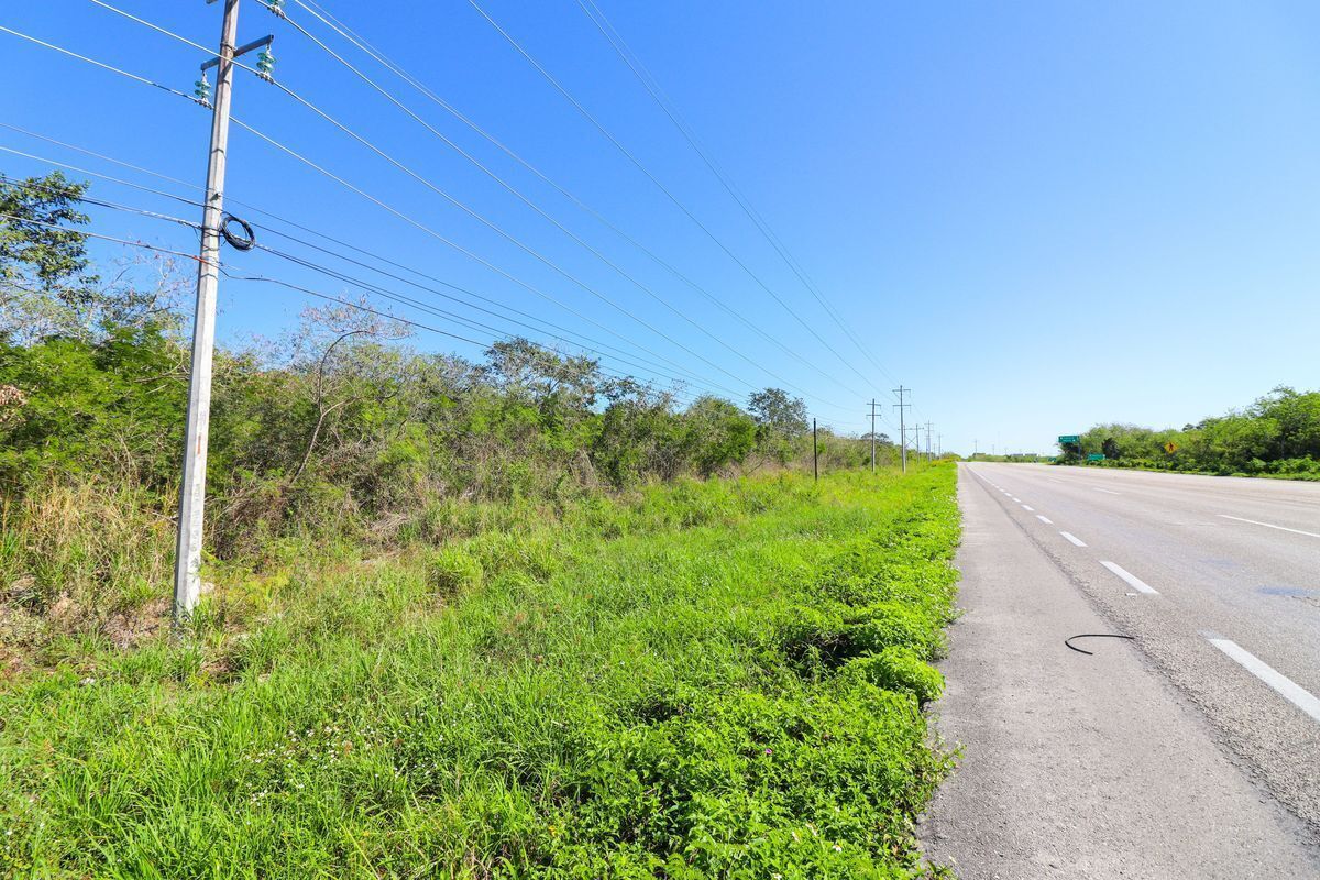 Venta de terreno 10 has sobre carretera Motul-Mérida a 20 min de Periférico Yuc. - foto 4