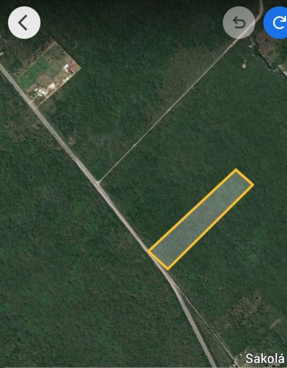 Venta de terreno 10 has sobre carretera Motul-Mérida a 20 min de Periférico Yuc. - foto 1