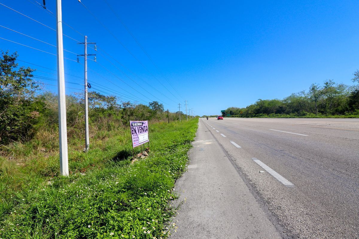 Venta de terreno 10 has sobre carretera Motul-Mérida a 20 min de Periférico Yuc. - foto 5