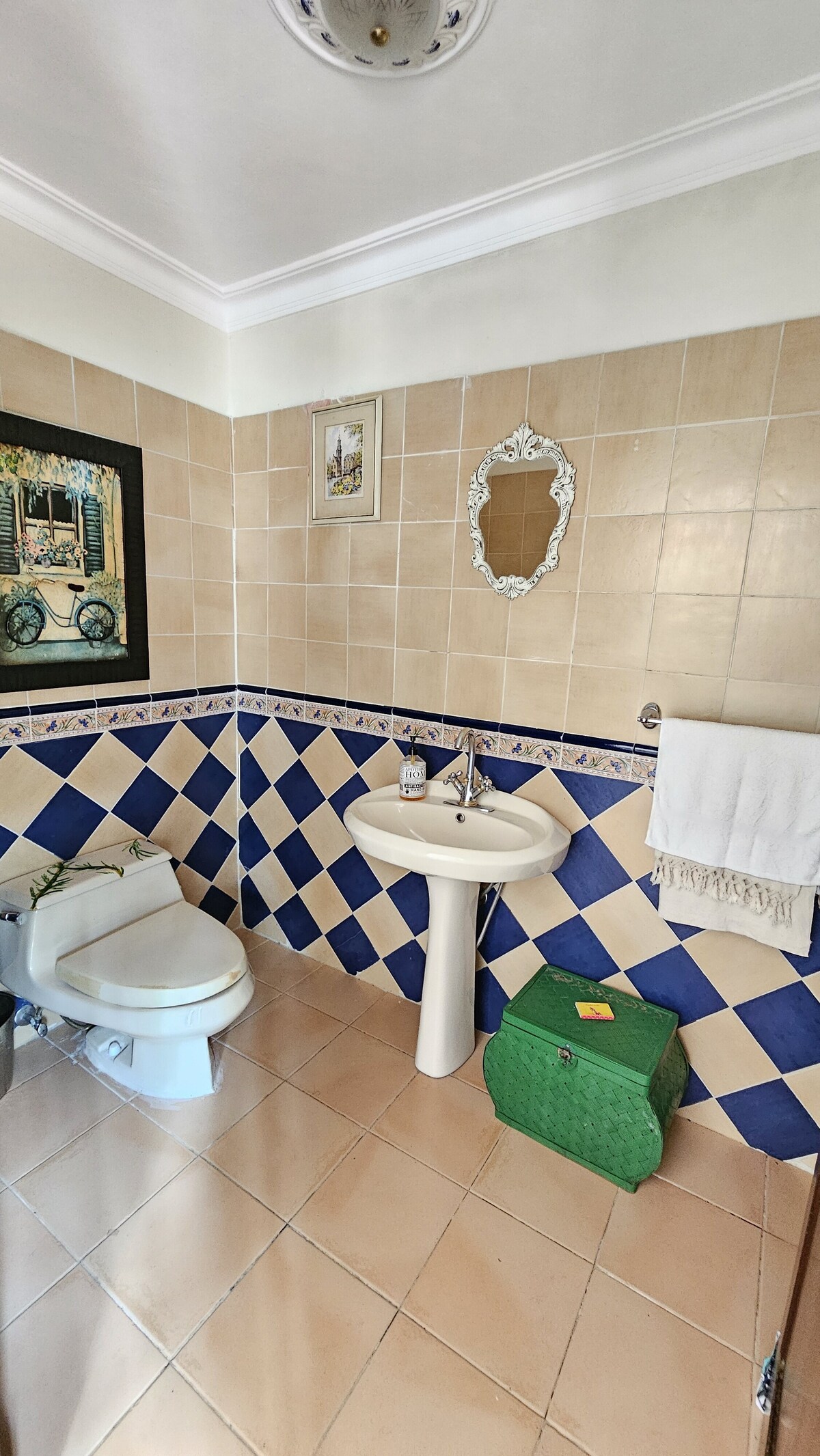 19 of 37: Baño visita