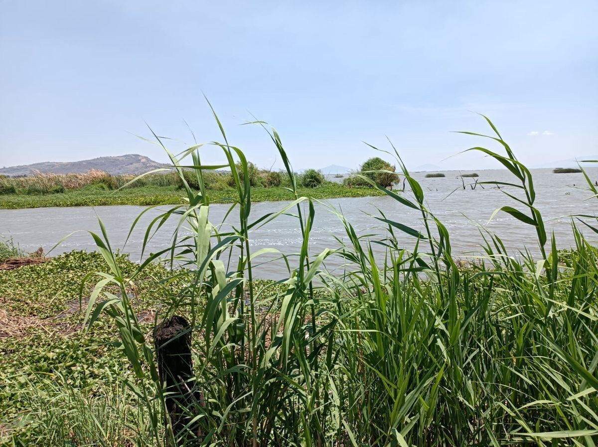 Terreno a la orilla del Río Santiago y del Lago de Chapala