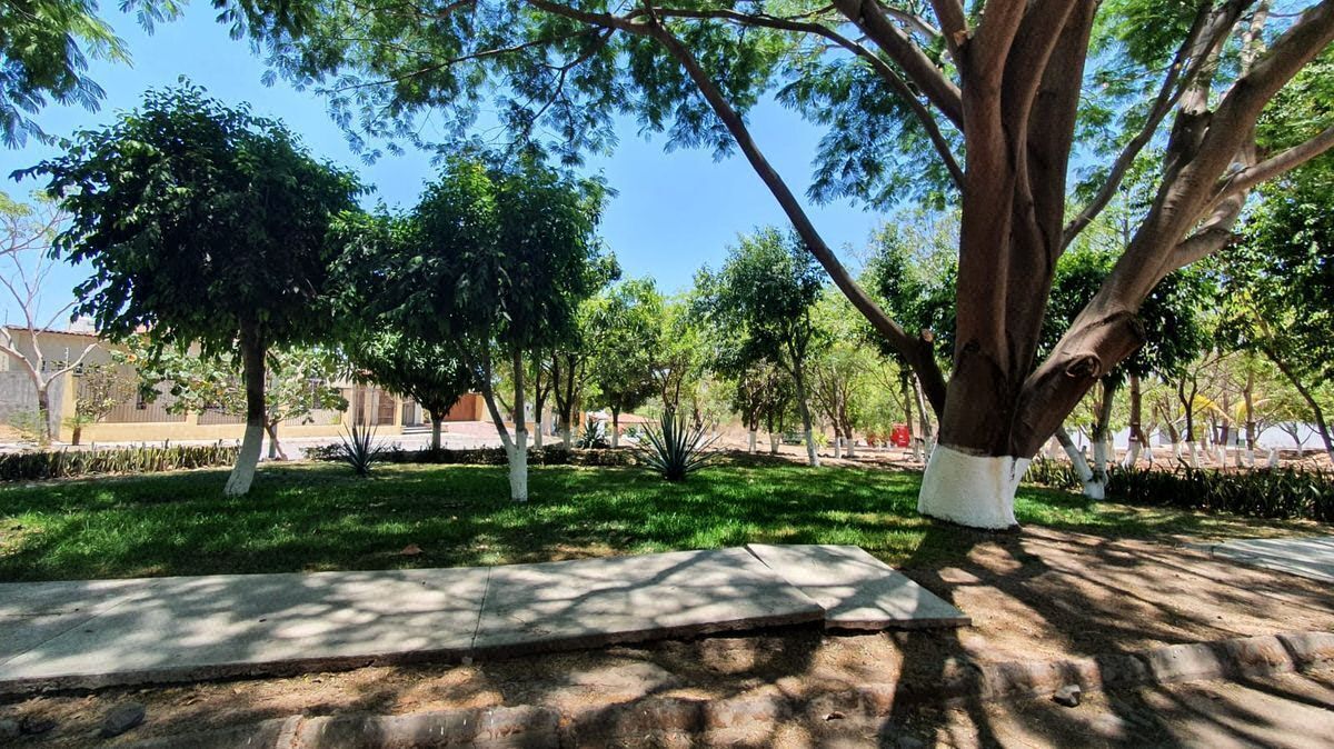 Terreno en VENTA en Nogueras, Comala