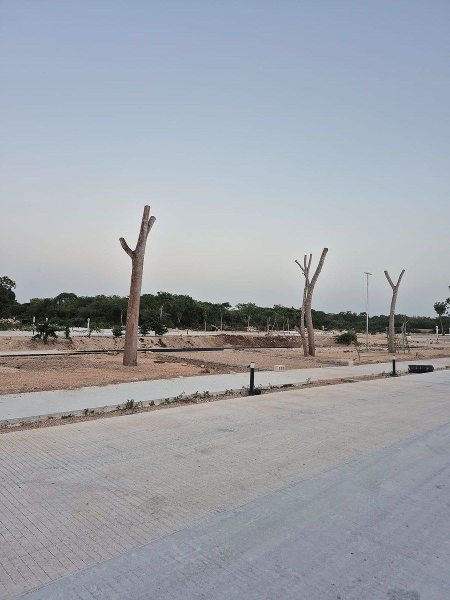 Lote em Dzityá, Mérida, foto 12 de 21