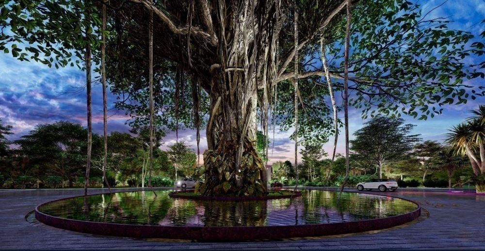Terreno en Tamanché, Mérida, foto 4 de 6