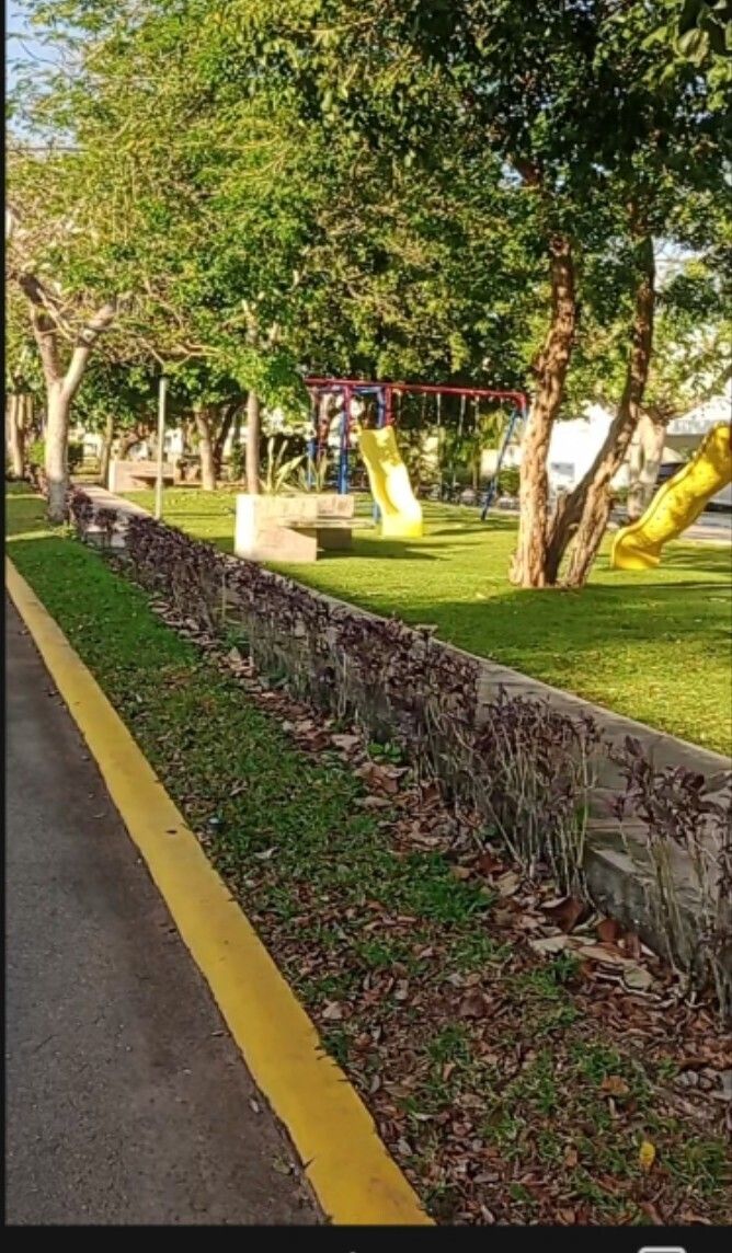 17 de 17