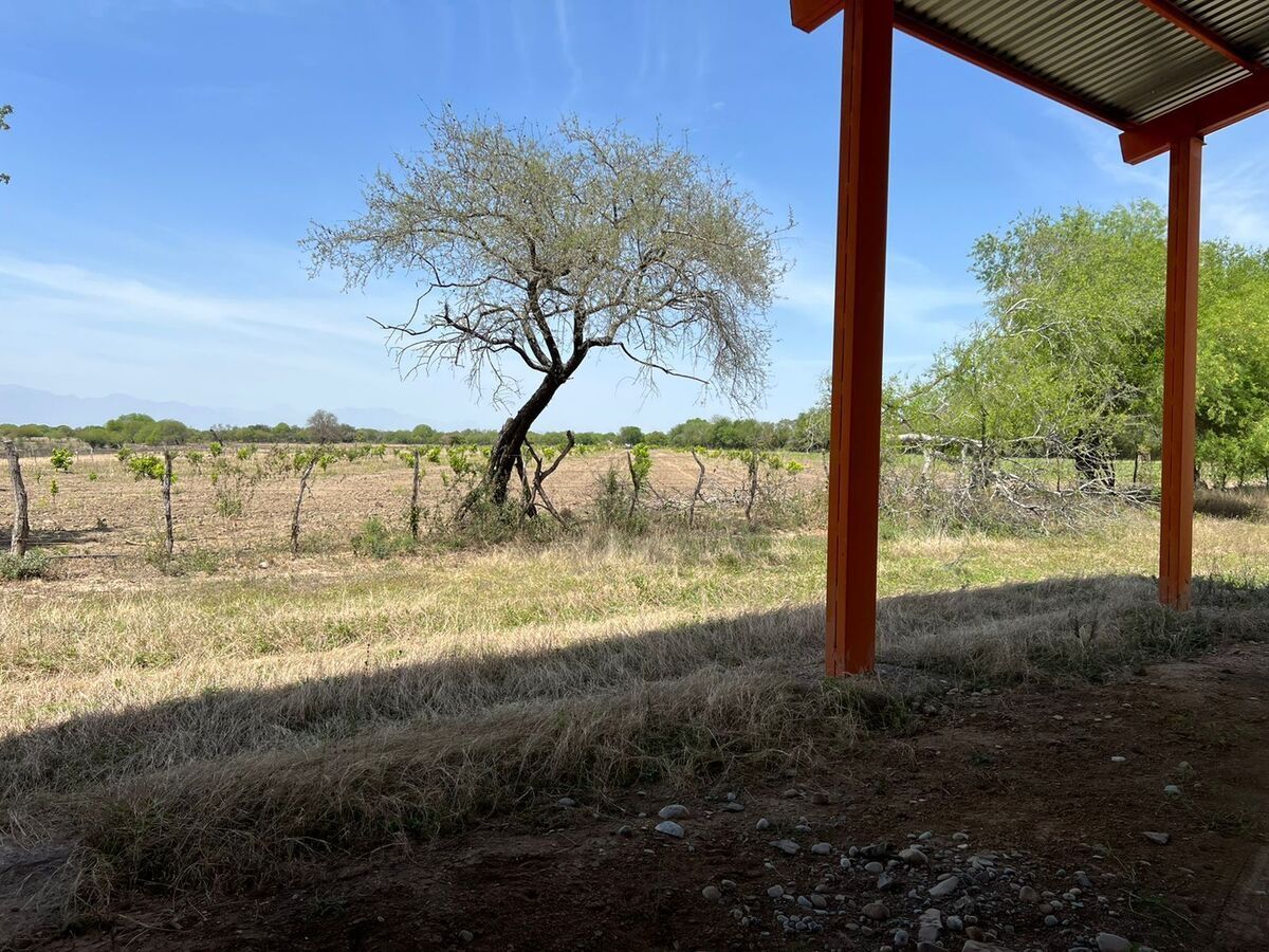 Lot in La Petaca, Linares, photo 6 of 9