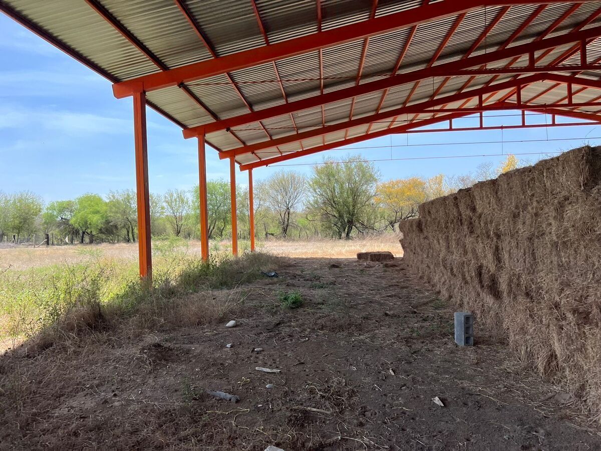 Lot in La Petaca, Linares, photo 8 of 9