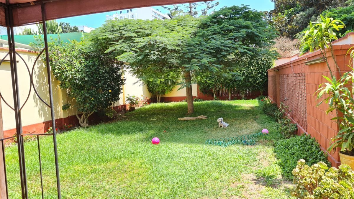 2 de 11: Jardín, área de servicio a la derecha.