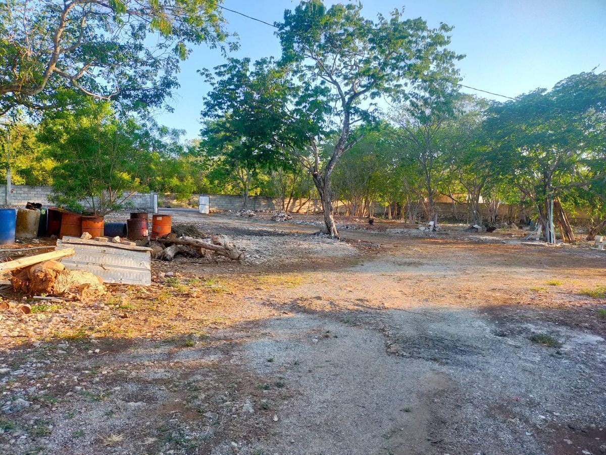 Bodega comercial en Temozón Norte, Mérida, foto 15 de 18