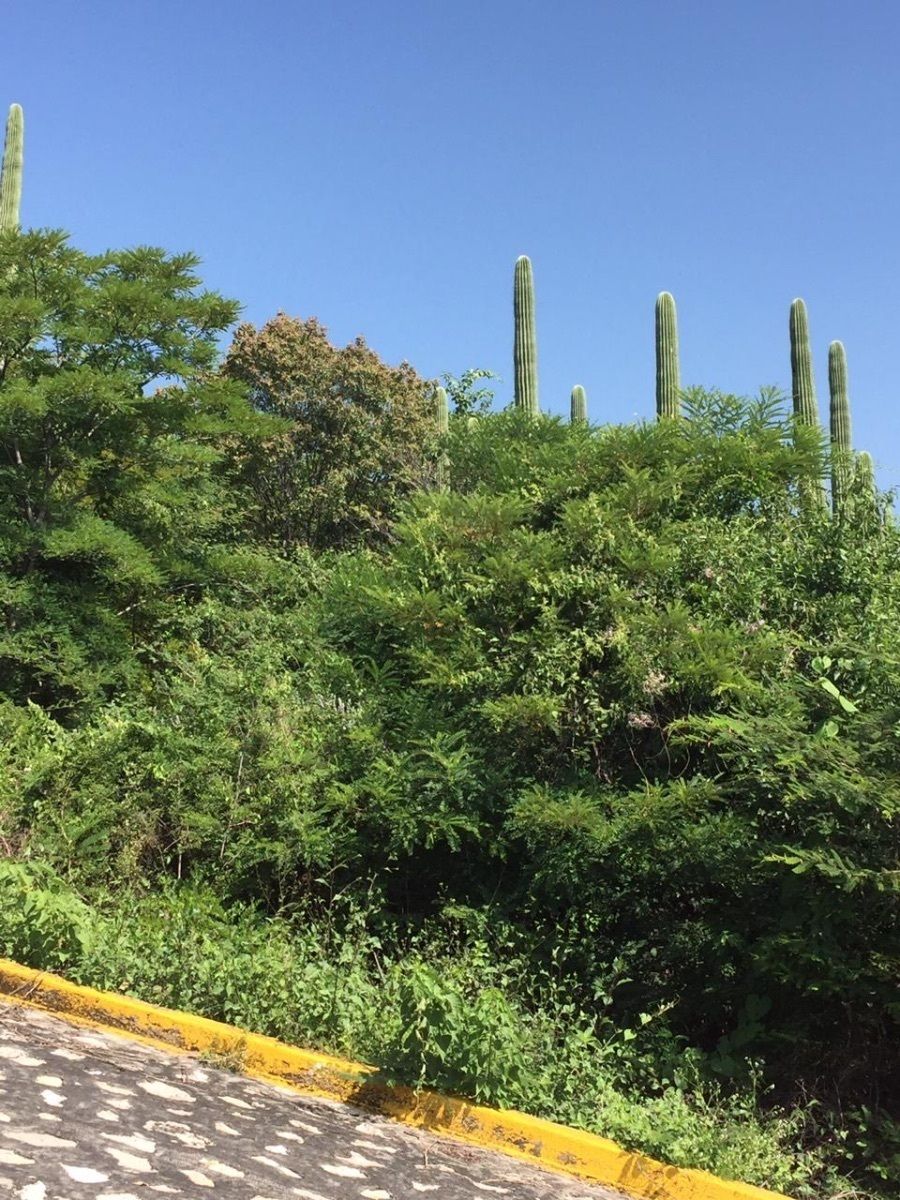 VENTA DE TERRENO EN MORELOS - foto 3