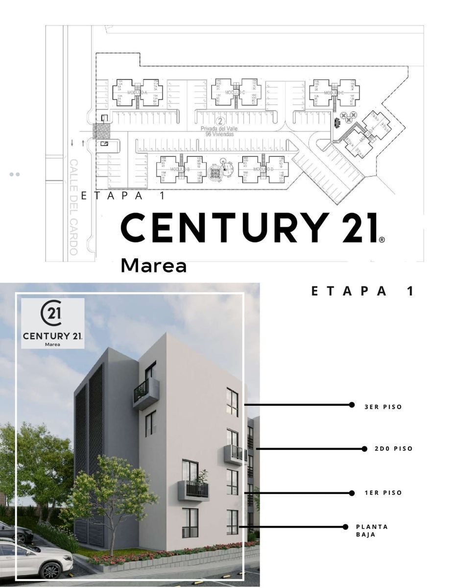 2 de 3