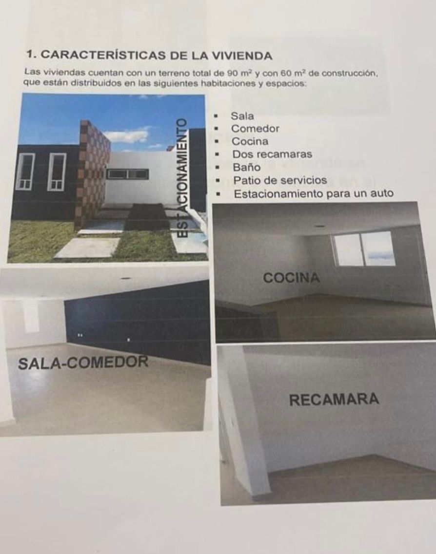 5 de 19