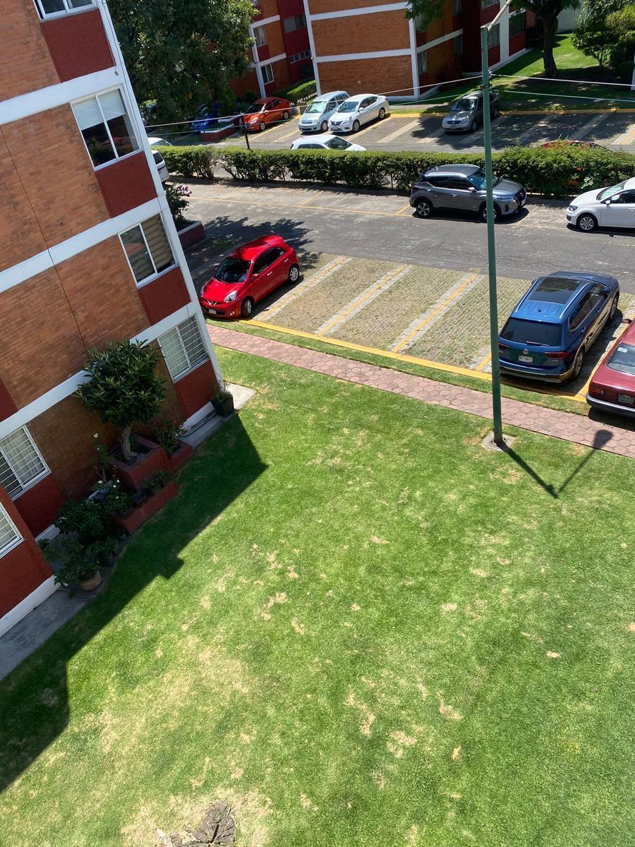 12 de 17