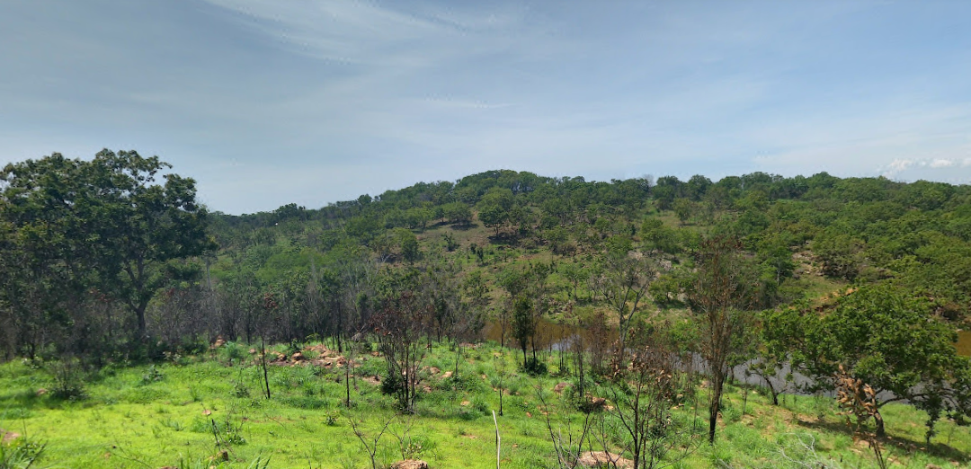 Terreno en Venta 20 Has en Tuxtla Gutierrez