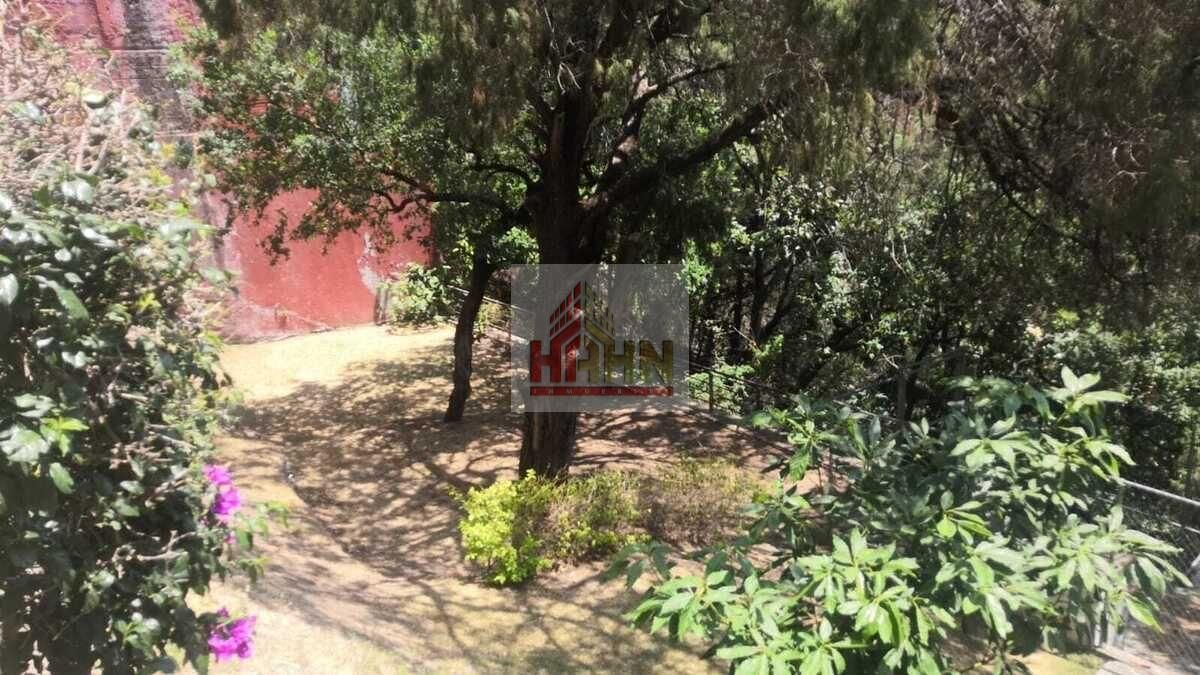 22 de 24