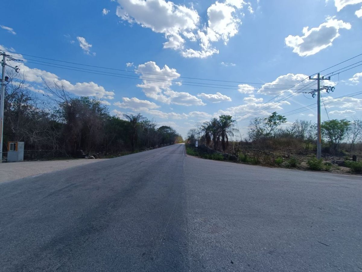 TERRENO EN VENTA DE 139 HAS EN CARRETERA UMAN-POXILA, YUCATAN. - foto 2
