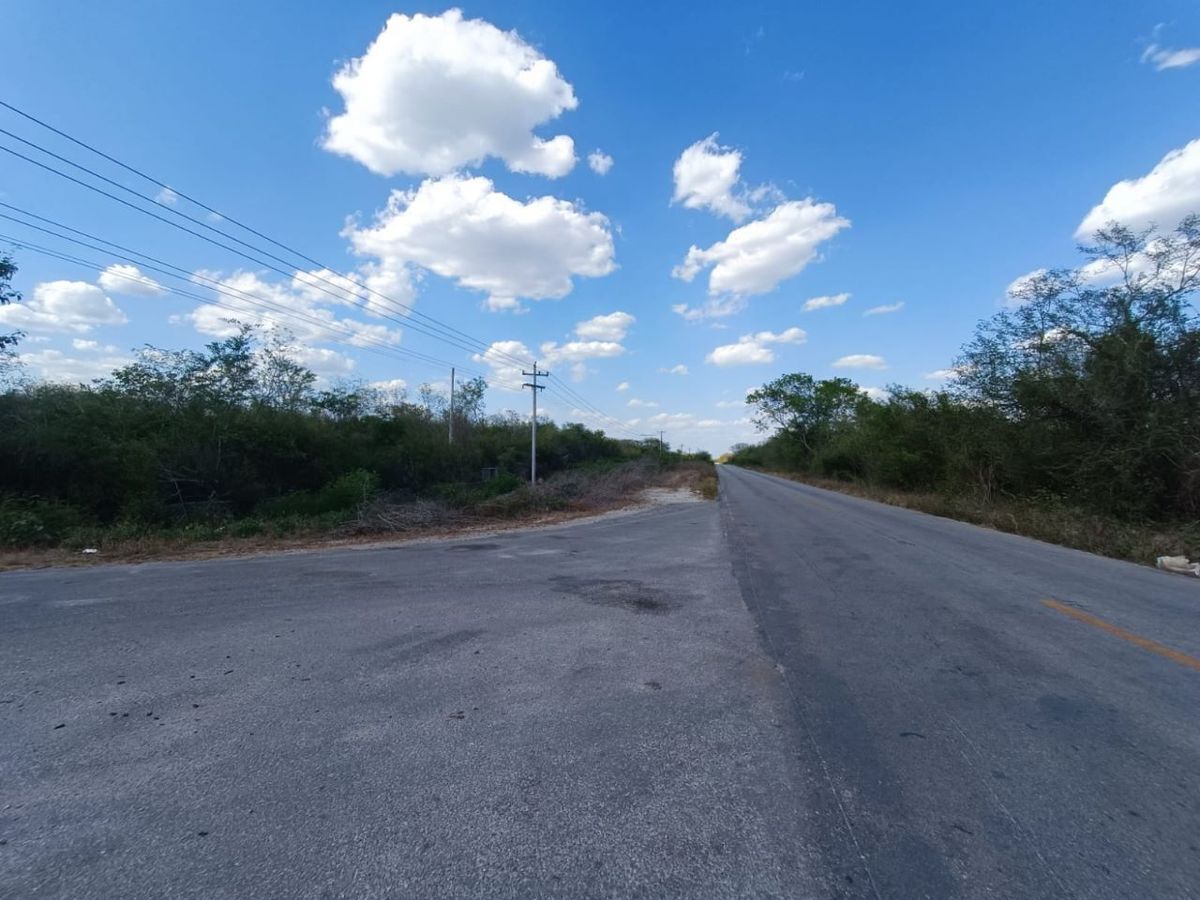 TERRENO EN VENTA DE 139 HAS EN CARRETERA UMAN-POXILA, YUCATAN. - foto 3