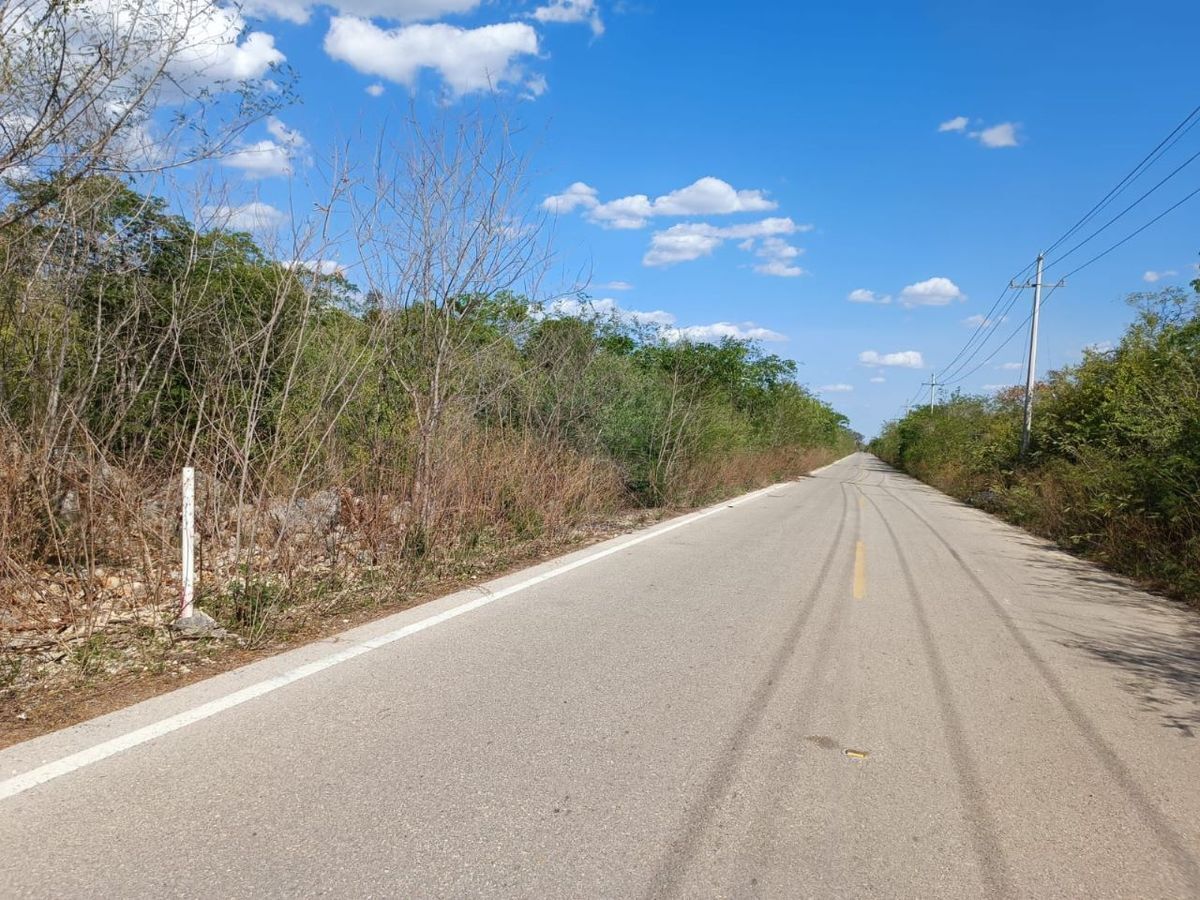 TERRENO EN VENTA DE 139 HAS EN CARRETERA UMAN-POXILA, YUCATAN. - foto 4
