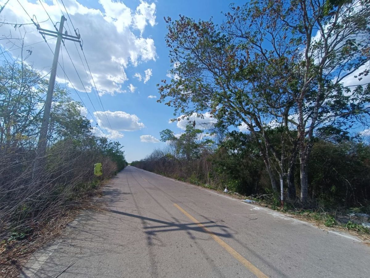 TERRENO EN VENTA DE 139 HAS EN CARRETERA UMAN-POXILA, YUCATAN. - foto 1