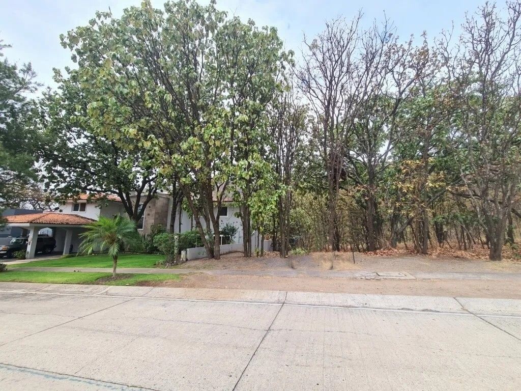 1 de 3