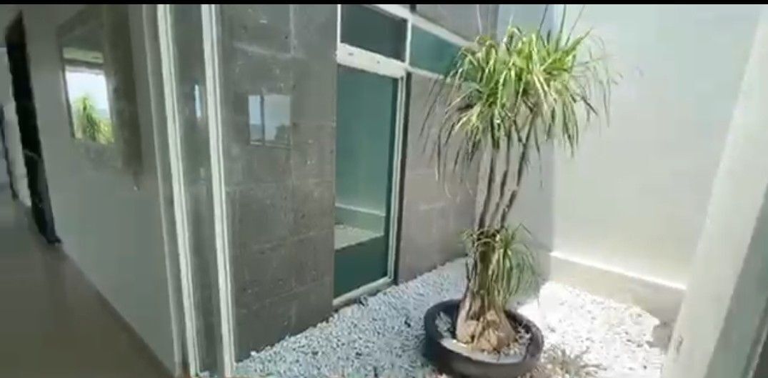 6 de 25