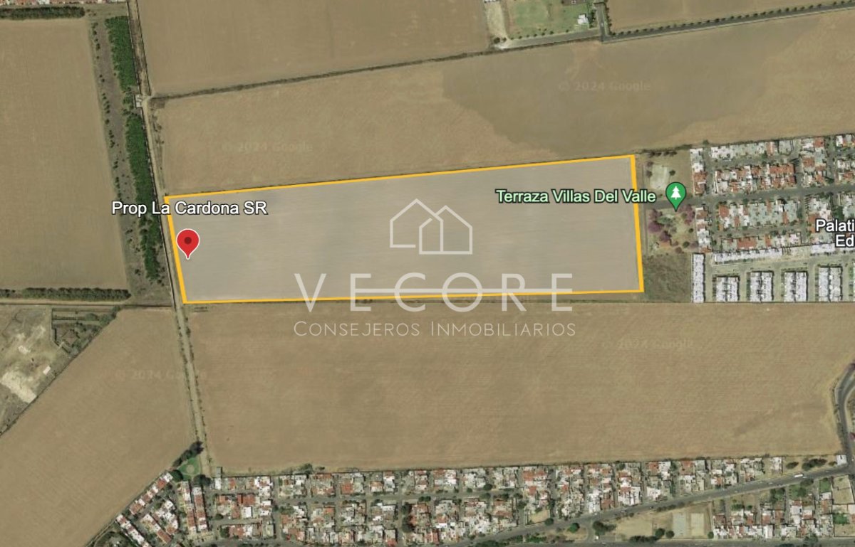 Imagen 7 de 10