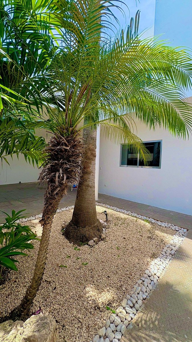 Casa en Benito Juárez Nte, Mérida, foto 4 de 33