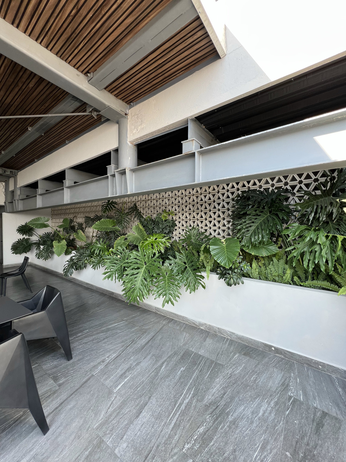 19 of 28: Amenidades / Rooftop